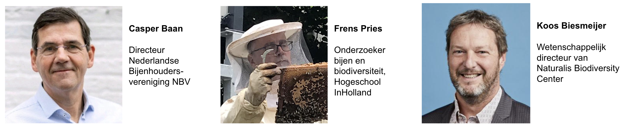 Rvt nl