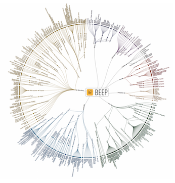 Beep data categorisation v2 small